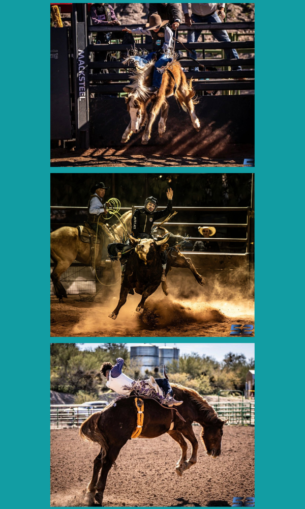 Roughstock rodeo action at Horseshoe Harvest Hangout in Queen Creek, AZ — mini bronc riding, bull riding, and bareback bronc riding presented by 406 Rodeo at Horseshoe Park & Equestrian Centre, October 30–31, 2026.