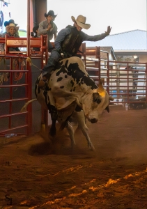HorseShoeHarvestOct2025-246