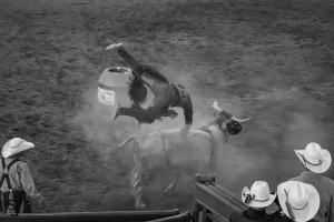 HorseShoeHarvestOct2025-352