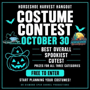 Horse costume contest hosted by BR Diamond Spur Barrel Racing Productions at the Horseshoe Harvest Hangout 2026 event on October 30th, 2026